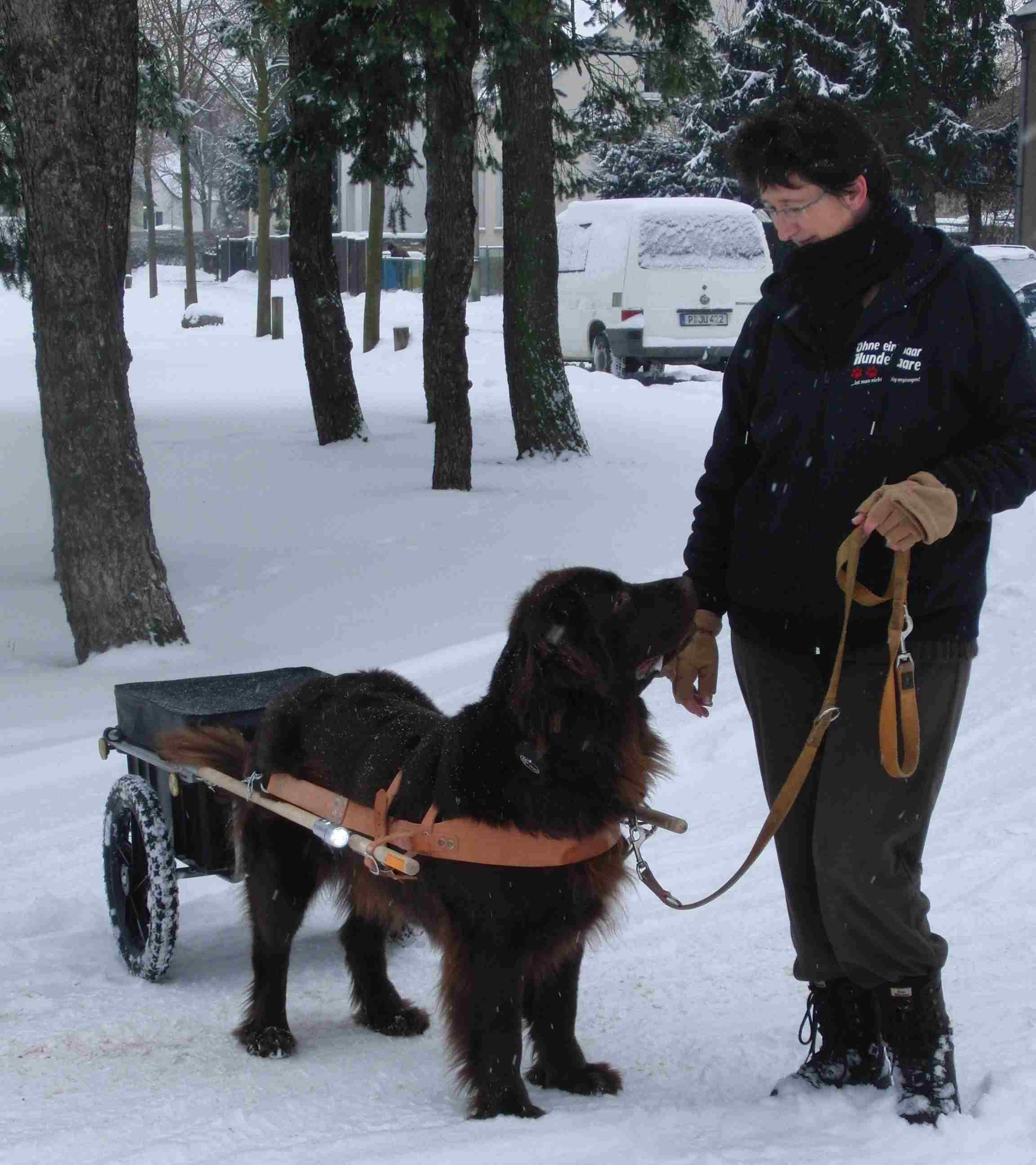 Zughund 2